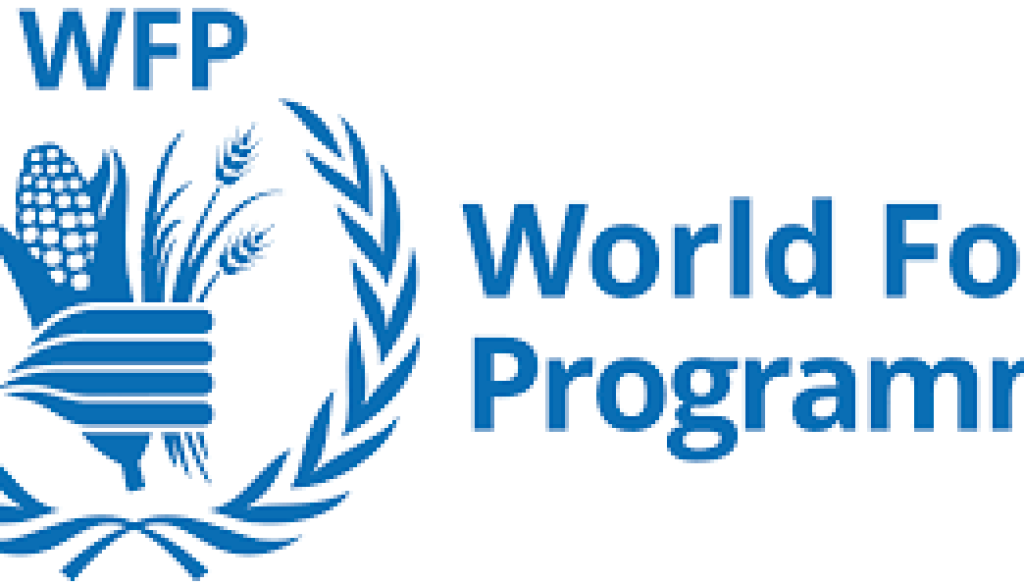 Monitoring Assistant Vacancy-Job Ref: JKMLWFP/1201/202469
