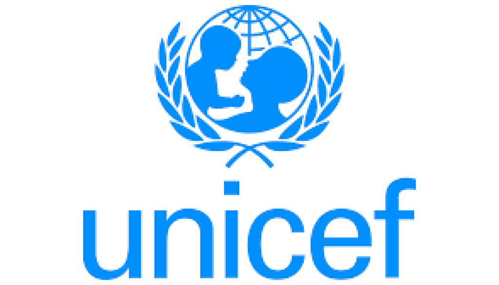 Operations Specialist P3 Vacancy-Job Ref: JKMLUNICEF/1906/202465